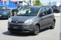 usato FIAT Panda