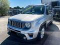 usato JEEP Renegade