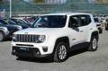 usato JEEP Renegade