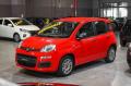 usato FIAT Panda