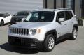usato JEEP Renegade