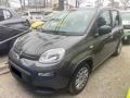 usato FIAT Panda