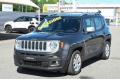 usato JEEP Renegade