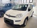usato FIAT Panda