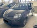 usato FIAT Panda