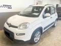 usato FIAT Panda