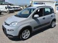 usato FIAT Panda
