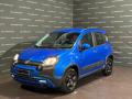 usato FIAT Panda Cross