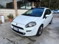 usato FIAT Punto