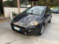 usato FIAT Punto Evo