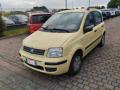 usato FIAT Panda