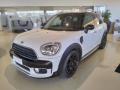usato MINI Countryman