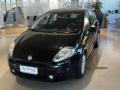 usato FIAT Punto