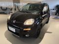 usato FIAT Panda