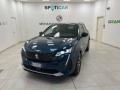 usato PEUGEOT 3008