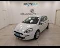 usato FIAT Punto