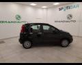 usato FIAT Panda