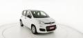usato FIAT Panda