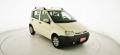 usato FIAT Panda