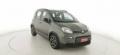 usato FIAT Panda