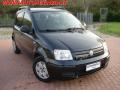 usato FIAT Panda