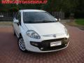 usato FIAT Punto Evo