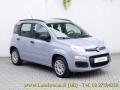 usato FIAT Panda