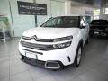 usato CITROEN C5