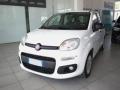 usato FIAT Panda