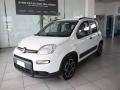 usato FIAT Panda