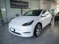 usato TESLA Model 3