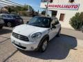 usato MINI Countryman