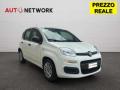 usato FIAT Panda