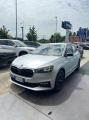 usato SKODA Fabia