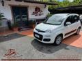 usato FIAT Panda