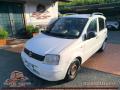 usato FIAT Panda