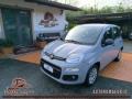 usato FIAT Panda