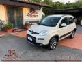 usato FIAT Panda