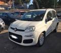 usato FIAT Panda