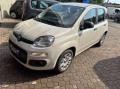 usato FIAT Panda