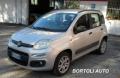 usato FIAT Panda