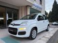 usato FIAT Panda