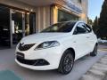 usato LANCIA Ypsilon