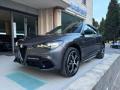 usato ALFA ROMEO Stelvio
