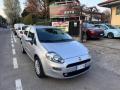 usato FIAT Punto