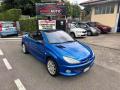 usato PEUGEOT 206