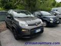 usato FIAT Panda