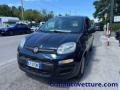 usato FIAT Panda