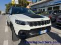 usato JEEP Compass