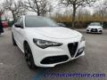 usato ALFA ROMEO Stelvio